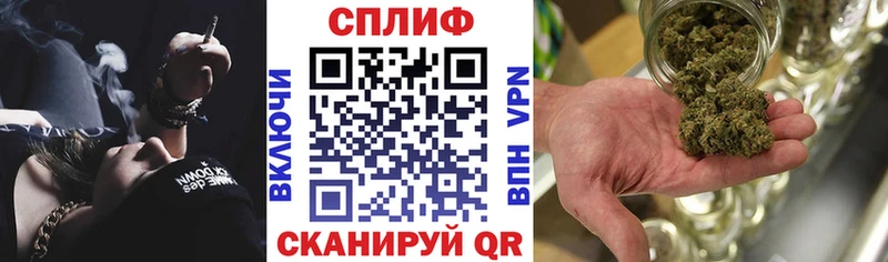 Купить где  Староминская  Канабис семена 